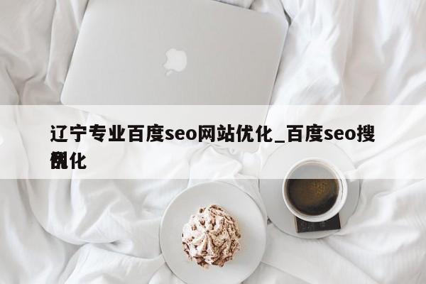 辽宁专业百度seo网站优化_百度seo搜刮优化（辽宁b百度推广）