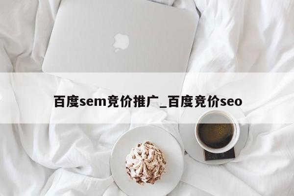 百度sem竞价推广_百度竞价seo（百度竞价推广进阶实战）