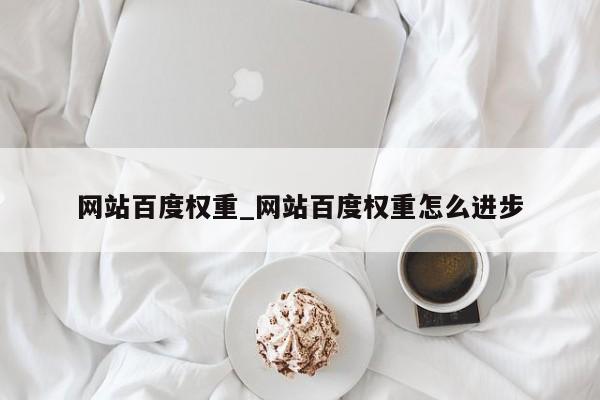 网站百度权重_网站百度权重怎么进步（百度网站权重值）