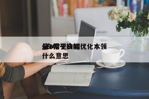 seo常见白帽优化本领
_白帽子技能
是什么意思