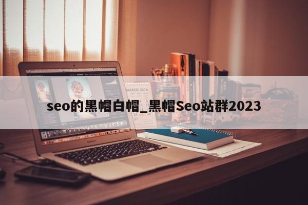 seo的黑帽白帽_黑帽Seo站群2023（seo黑帽和白帽的区别）