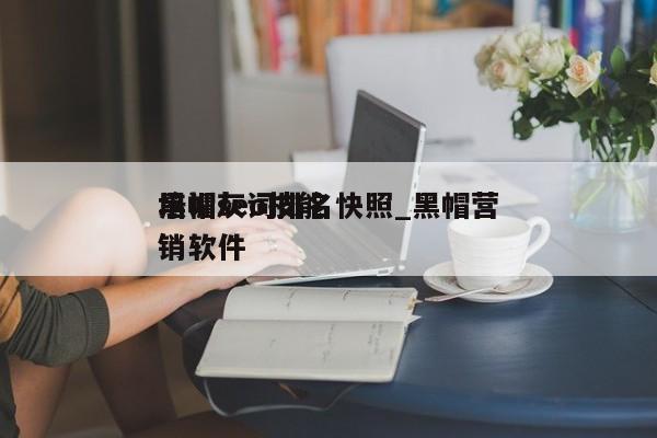黑帽seo技能培训灰词排名快照_黑帽营销软件（黑帽SEO有啥风险）