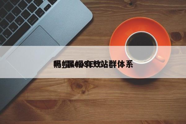 黑帽seo有效
吗_黑帽SEO站群体系