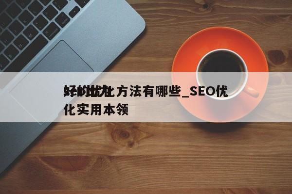 seo比力好的优化方法有哪些_SEO优化实用本领