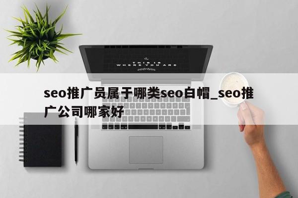 seo推广员属于哪类seo白帽_seo推广公司哪家好（SEO推广专员）
