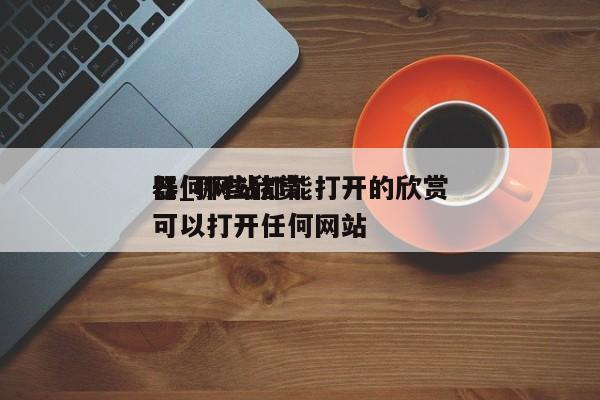 任何网站都能打开的欣赏器_哪些欣赏器可以打开任何网站（可以打开各种网站的浏览器）