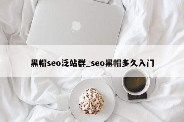 黑帽seo泛站群_seo黑帽多久入门
